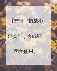 昔日“抗战小延安”，今成红色美丽村