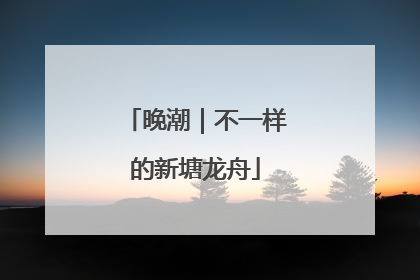 晚潮｜不一样的新塘龙舟