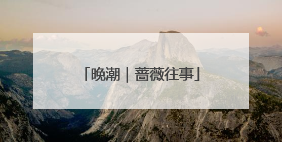 晚潮｜蔷薇往事