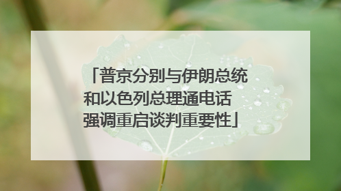 普京分别与伊朗总统和以色列总理通电话 强调重启谈判重要性