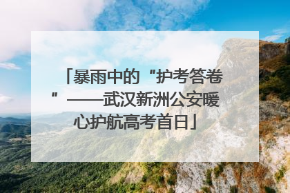 暴雨中的“护考答卷”——武汉新洲公安暖心护航高考首日