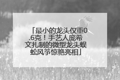 最小的龙头仅重0.6克！手艺人庞希文扎制的微型龙头蜈蚣风筝惊艳亮相