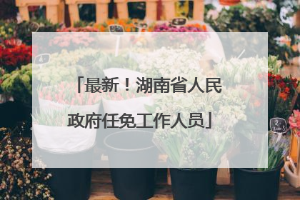 最新！湖南省人民政府任免工作人员