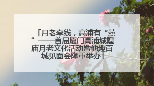 月老牵线，高浦有“囍”——首届厦门高浦城隍庙月老文化活动暨他趣百城见面会隆重举办
