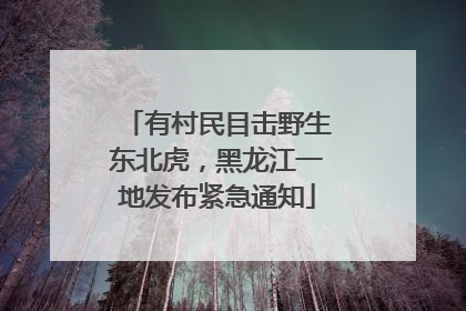 有村民目击野生东北虎，黑龙江一地发布紧急通知