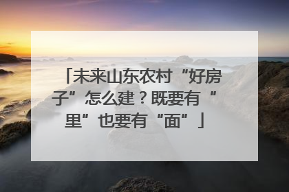 未来山东农村“好房子”怎么建？既要有“里”也要有“面”