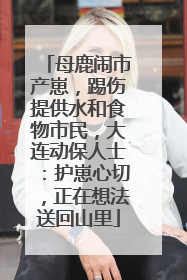 母鹿闹市产崽，踢伤提供水和食物市民，大连动保人士：护崽心切，正在想法送回山里
