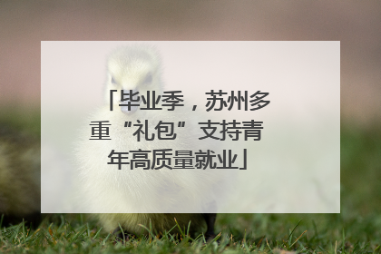 毕业季，苏州多重“礼包”支持青年高质量就业