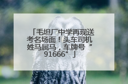 毛坦厂中学再现送考名场面！头车司机姓马属马，车牌号“91666”