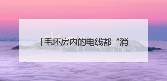 毛坯房内的电线都“消失”了！民警：抓！