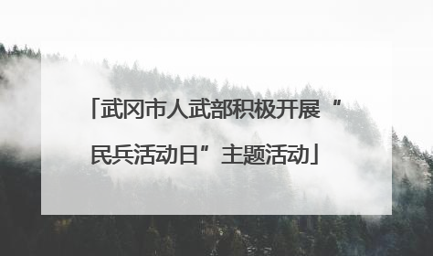 武冈市人武部积极开展“民兵活动日”主题活动