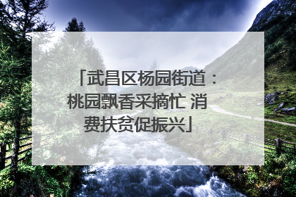 武昌区杨园街道：桃园飘香采摘忙 消费扶贫促振兴