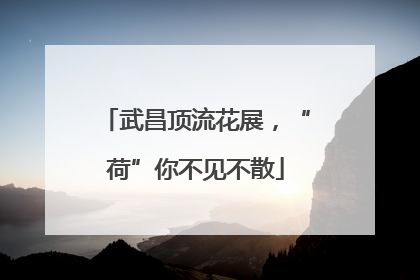 武昌顶流花展，“荷”你不见不散