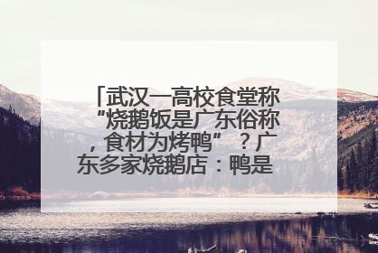 武汉一高校食堂称“烧鹅饭是广东俗称，食材为烤鸭”？广东多家烧鹅店：鸭是鸭鹅是鹅