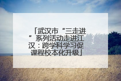 武汉市“三走进”系列活动走进江汉：跨学科学习促课程校本化升级