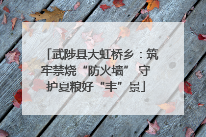 武陟县大虹桥乡：筑牢禁烧“防火墙” 守护夏粮好“丰”景