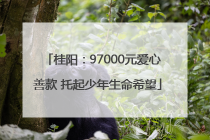 桂阳：97000元爱心善款 托起少年生命希望