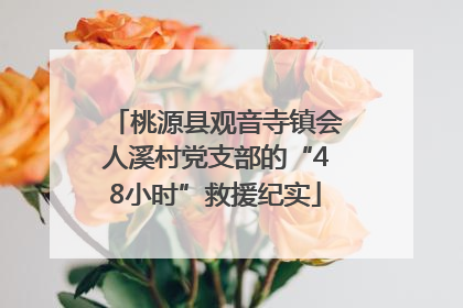 桃源县观音寺镇会人溪村党支部的“48小时”救援纪实