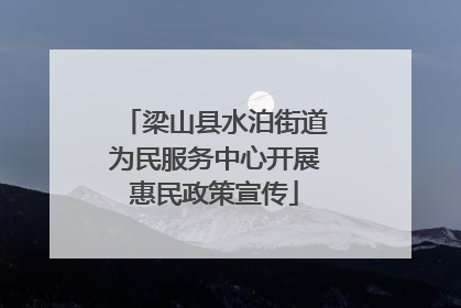 梁山县水泊街道为民服务中心开展惠民政策宣传