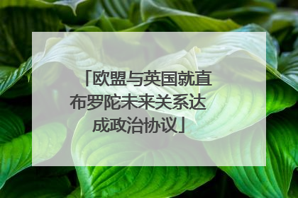欧盟与英国就直布罗陀未来关系达成政治协议