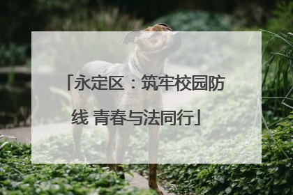 永定区：筑牢校园防线 青春与法同行