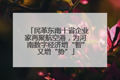 民革东南十省企业家再聚航空港，为河南数字经济增“智”又增“势”