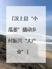 汶上县“小瓜蒌”撬动乡村振兴“大产业”