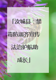 汝城县：禁毒防溺齐宣传 法治护航助成长