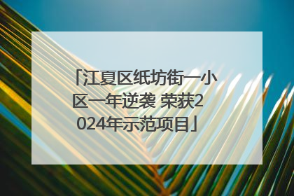 江夏区纸坊街一小区一年逆袭 荣获2024年示范项目