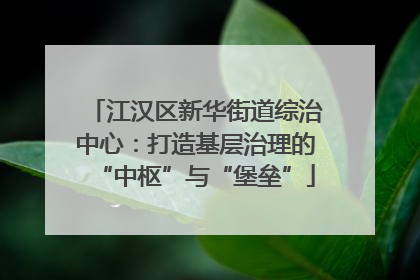江汉区新华街道综治中心：打造基层治理的“中枢”与“堡垒”