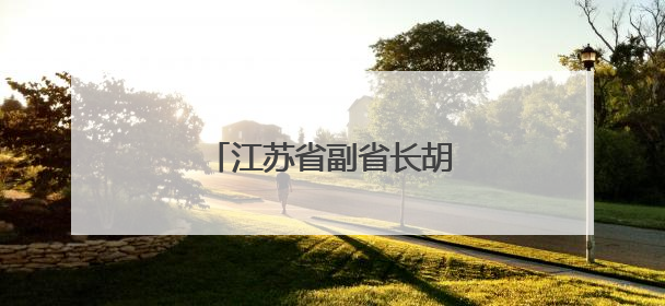 江苏省副省长胡彬郴，分工明确