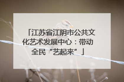 江苏省江阴市公共文化艺术发展中心：带动全民“艺起来”