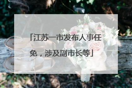 江苏一市发布人事任免，涉及副市长等
