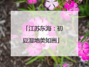 江苏东海：初夏湿地美如画