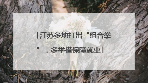江苏多地打出“组合拳”，多举措保障就业