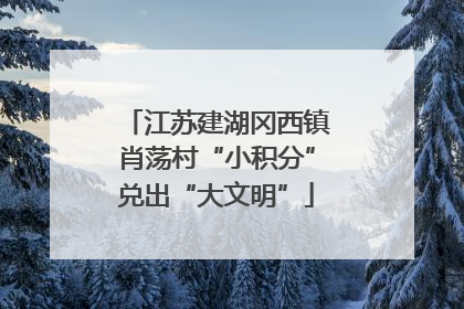 江苏建湖冈西镇肖荡村“小积分”兑出“大文明”