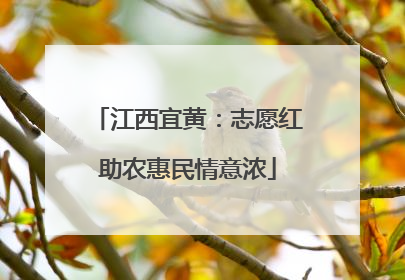 江西宜黄：志愿红助农惠民情意浓