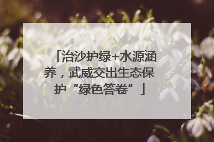 治沙护绿+水源涵养，武威交出生态保护“绿色答卷”