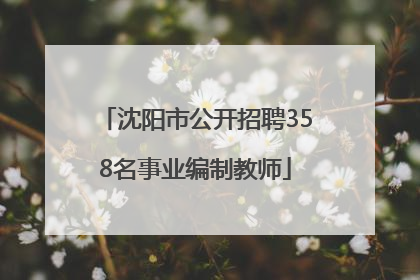 沈阳市公开招聘358名事业编制教师