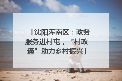 沈阳浑南区：政务服务进村屯，“村政通”助力乡村振兴