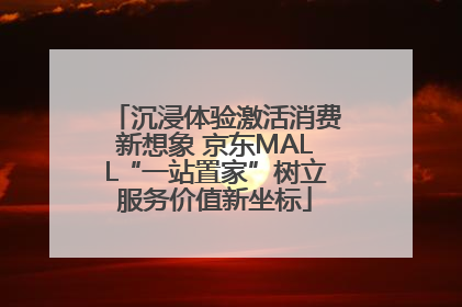 沉浸体验激活消费新想象 京东MALL“一站置家”树立服务价值新坐标