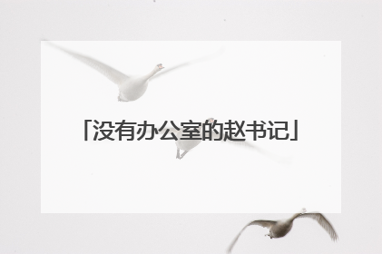 没有办公室的赵书记
