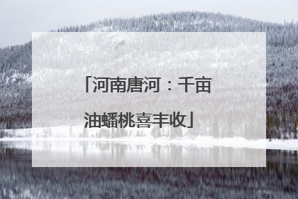 河南唐河：千亩油蟠桃喜丰收