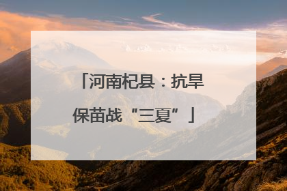 河南杞县：抗旱保苗战“三夏”