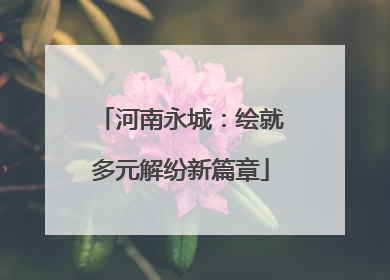 河南永城：绘就多元解纷新篇章