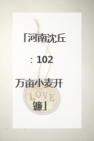 河南沈丘：102 万亩小麦开镰