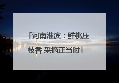 河南淮滨：鲜桃压枝香 采摘正当时