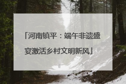河南镇平：端午非遗盛宴激活乡村文明新风
