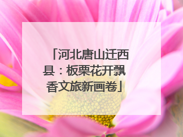河北唐山迁西县：板栗花开飘香文旅新画卷