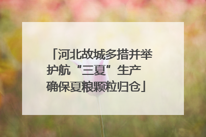 河北故城多措并举护航“三夏”生产 确保夏粮颗粒归仓